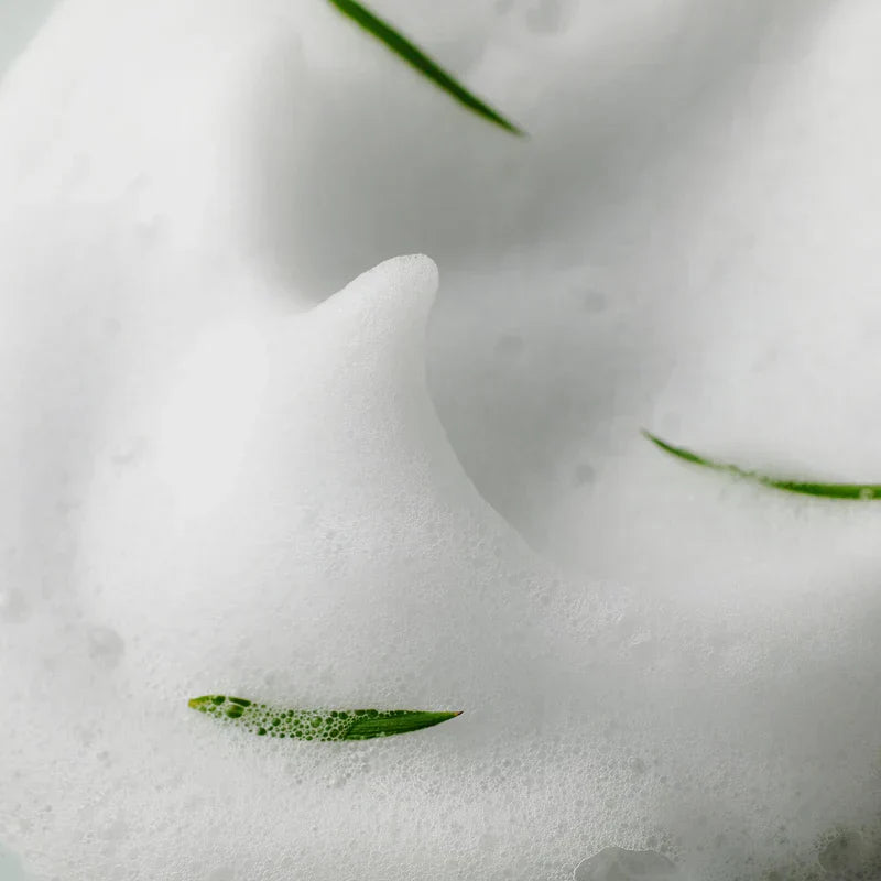 SOME BY MI AHA BHA PHA 30 Days Miracle Acne Clear Foam